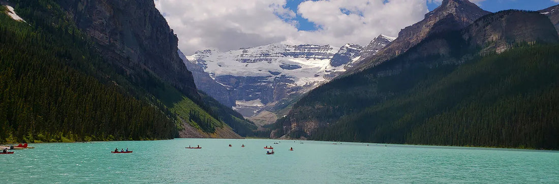 March 2025 Progress & Next Steps