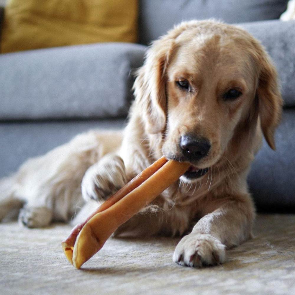Rouleau de peau de porc de 10 pouces et plus