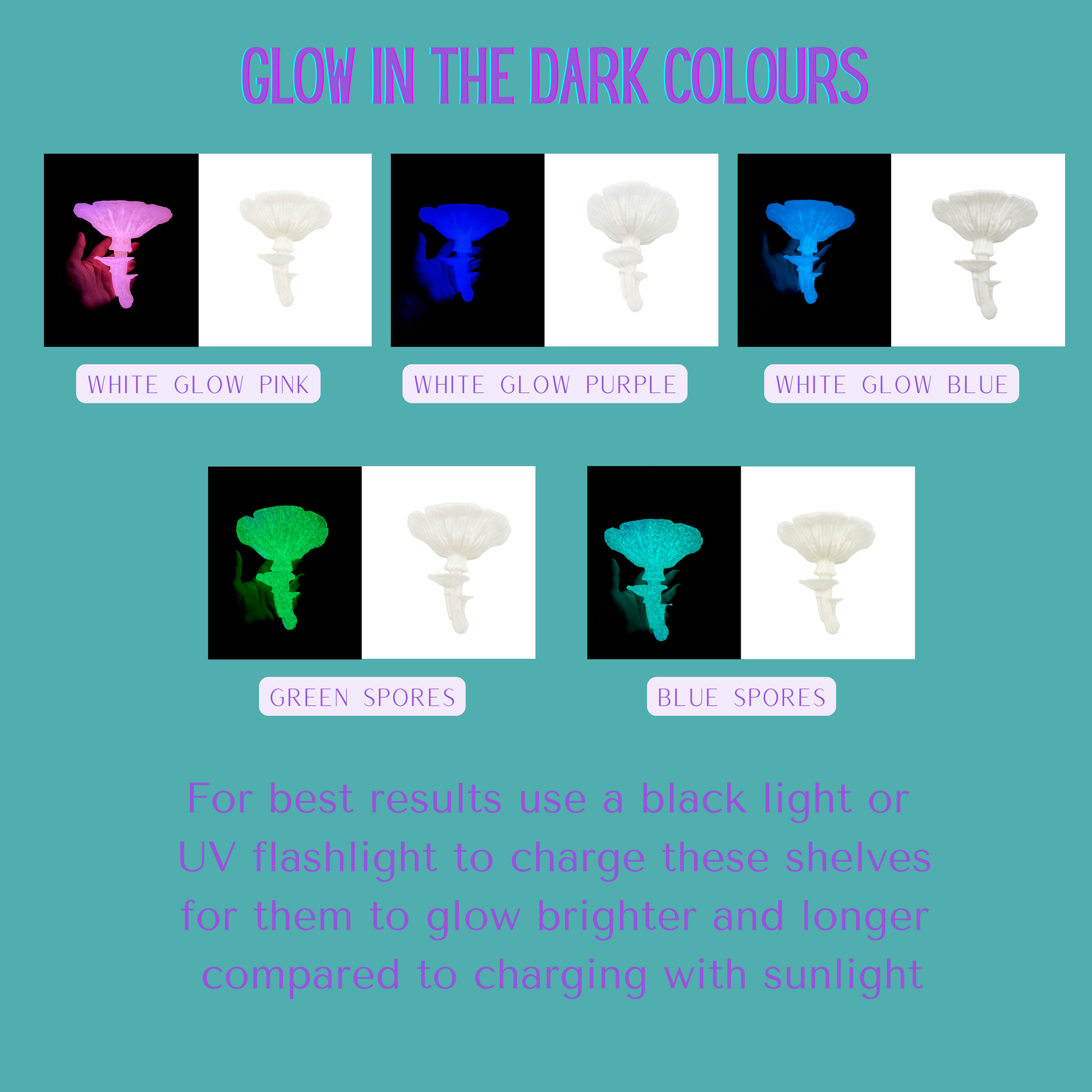 Étagère flottante moyenne phosphorescente en forme de champignon Trametes Pubescens