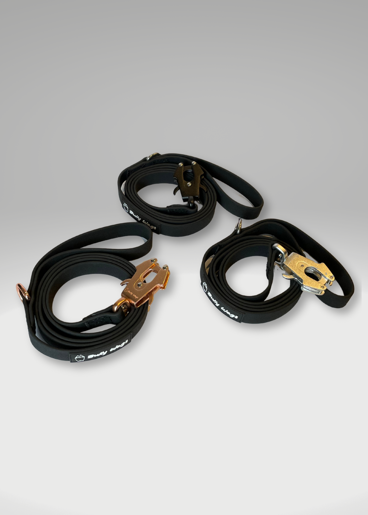 Laisse pour chien en PVC imperméable