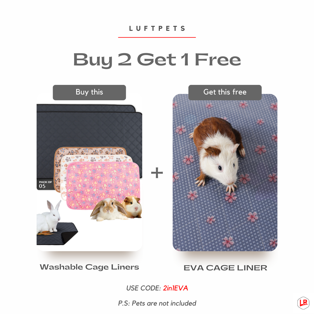 Parure de lit polaire 5 pièces pour cochon d'Inde et lapin – Parfaite pour chiens et chats