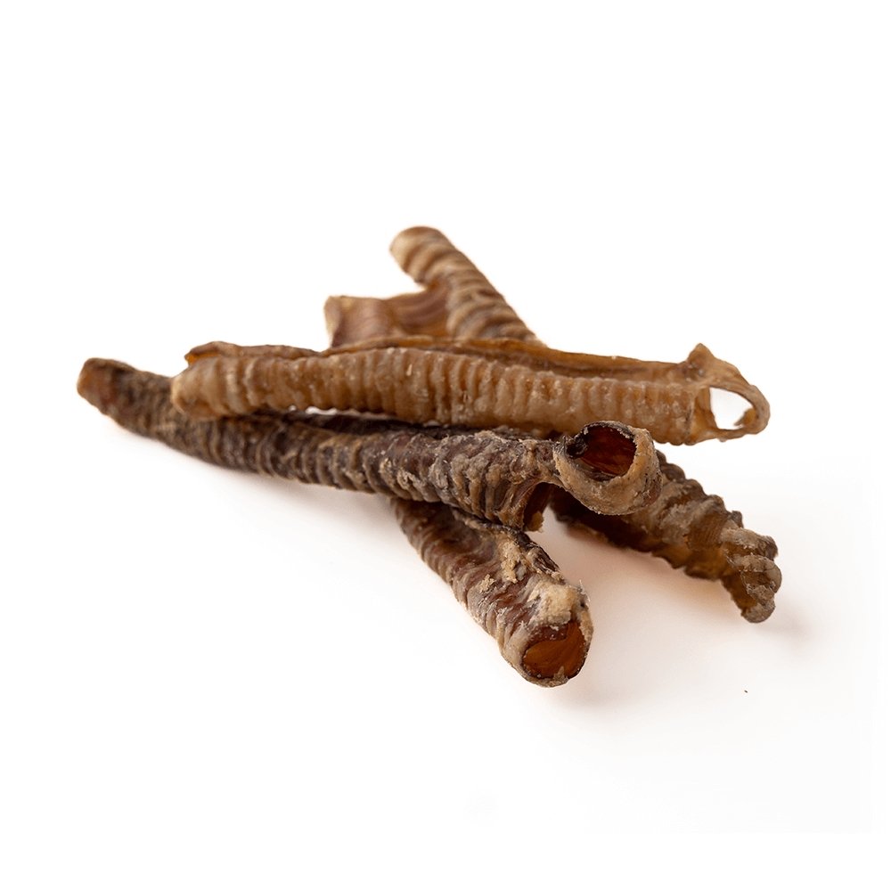 Trachée d'agneau de 5 à 7 pouces