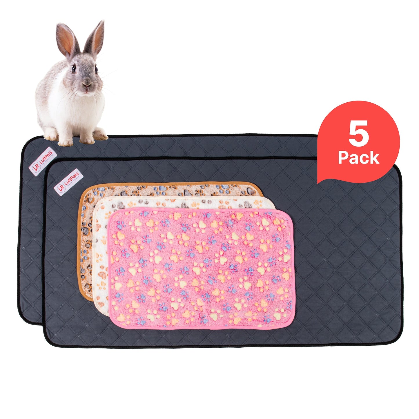 Parure de lit polaire 5 pièces pour cochon d'Inde et lapin – Parfaite pour chiens et chats