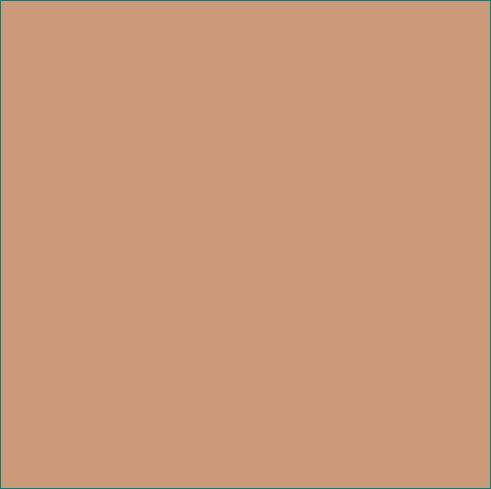 AGF Pure Solids - Toasty Walnut, 1/4 yard