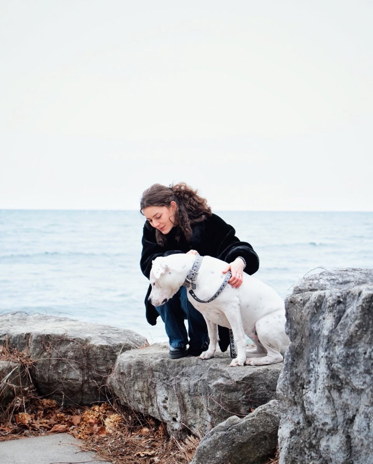 Laisse de luxe pour chien en hématite noire – Ferrures argentées | Cuir vegan souple, longueur 107 cm avec clip 360°