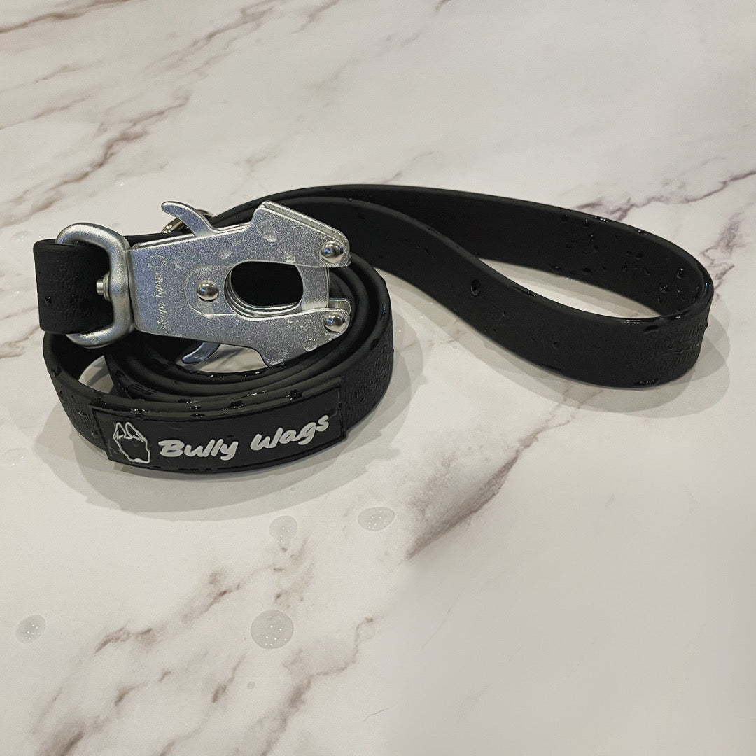 Laisse pour chien en PVC imperméable