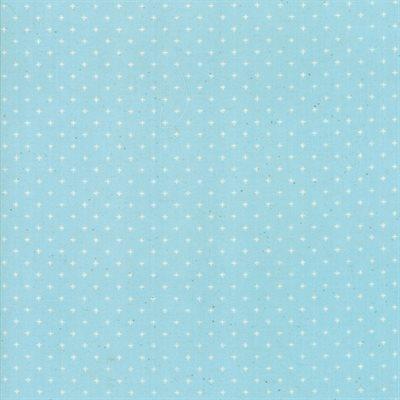 Add It Up Polar, 1/4 yard