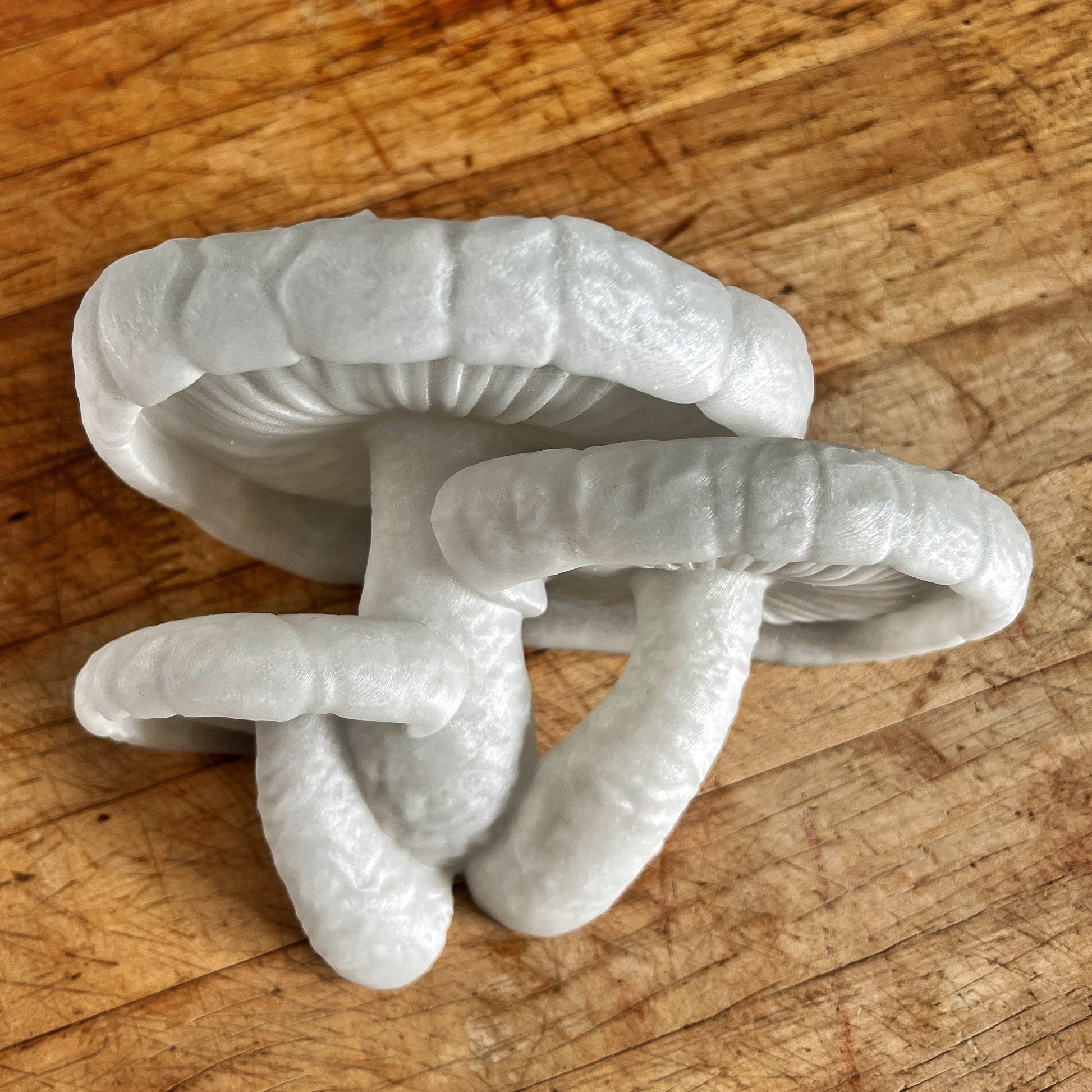 Étagère à champignons shiitake, étagère à champignons phosphorescente, étagère à champignons