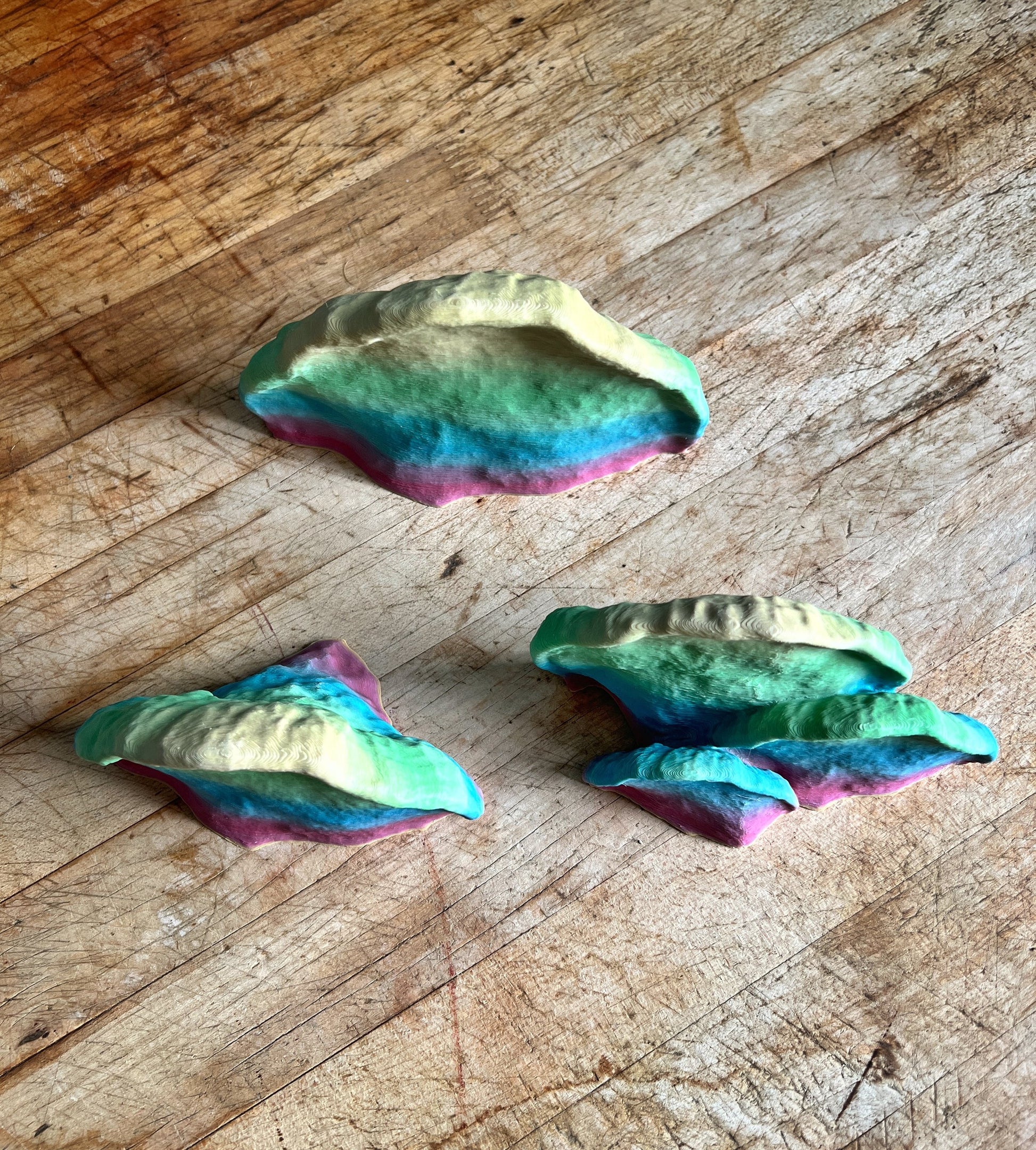 Ensemble de mini étagères à champignons Pinicula, ensemble d'étagères à champignons, décoration de champignons