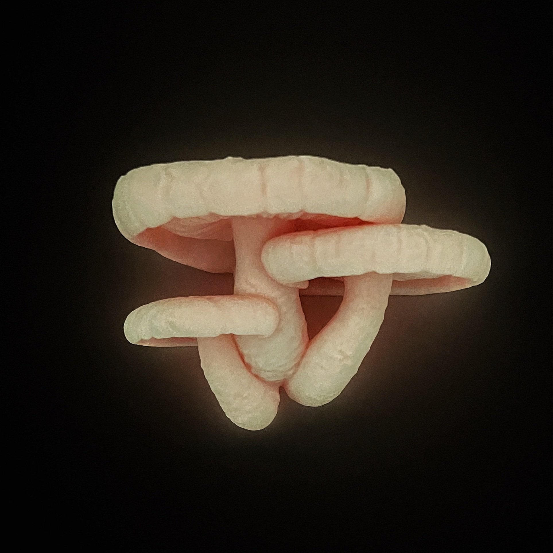 Étagère à champignons shiitake, étagère à champignons phosphorescente, étagère à champignons