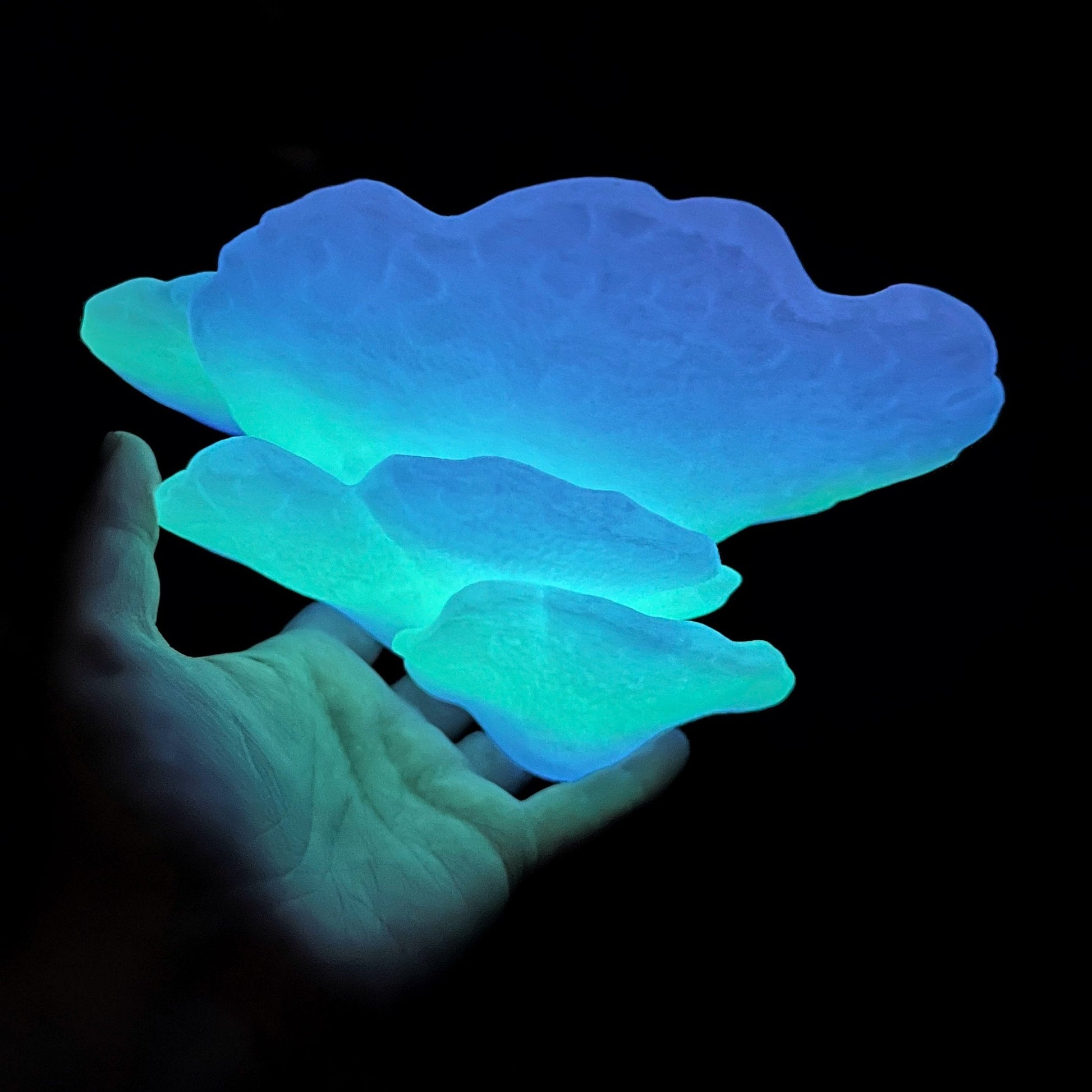 Étagère à champignons phosphorescente Gibbosa Fungus, jolie décoration cottagecore