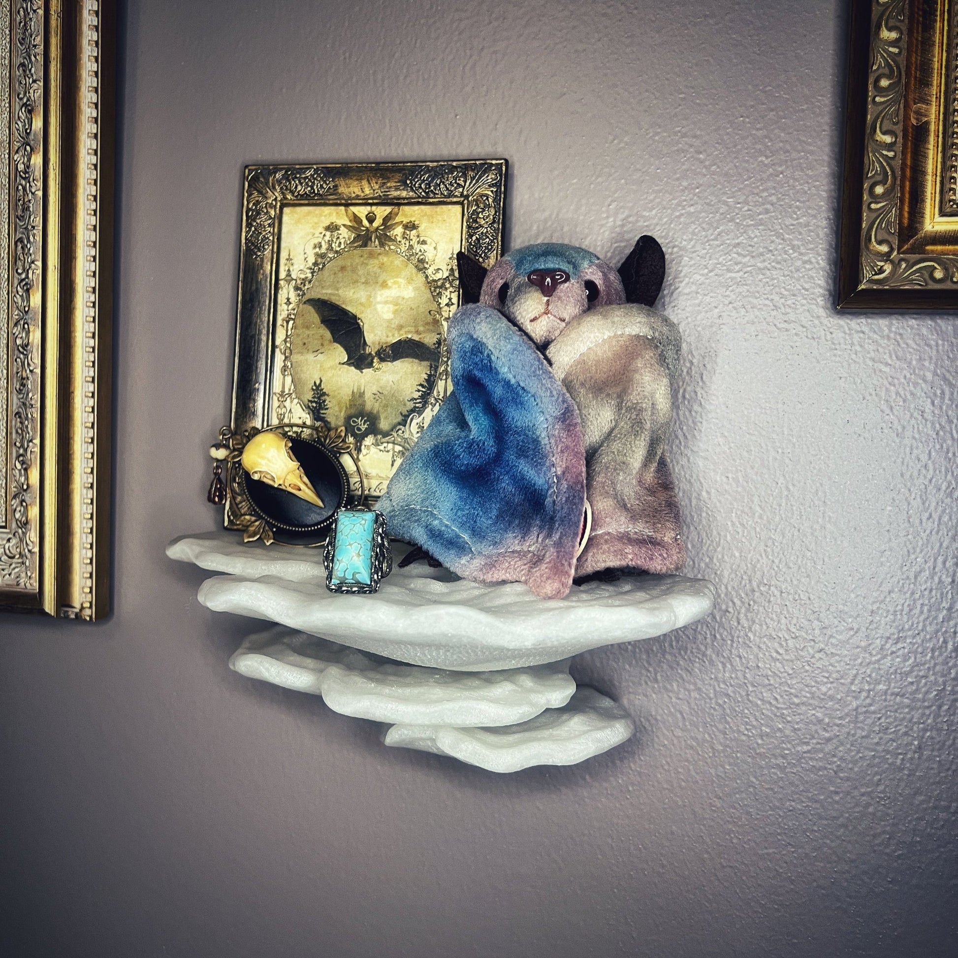 Étagère à champignons phosphorescente Gibbosa Fungus