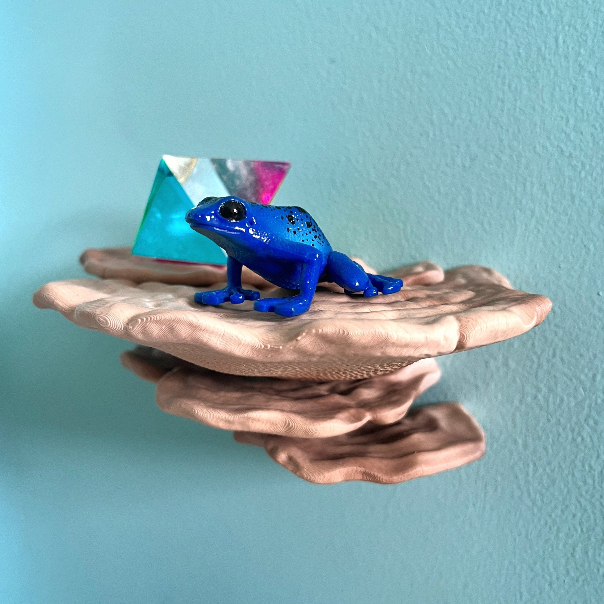 Étagère à champignons phosphorescente Gibbosa Fungus, jolie décoration cottagecore