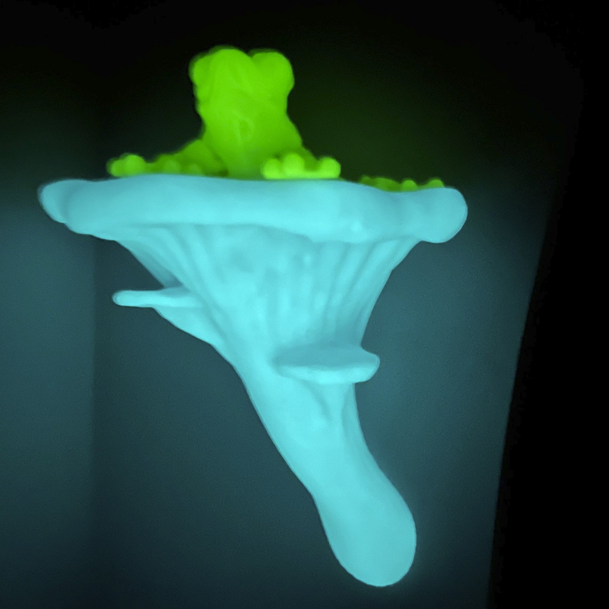 Étagère flottante phosphorescente en forme de pleurotes, décoration botanique pour la maison