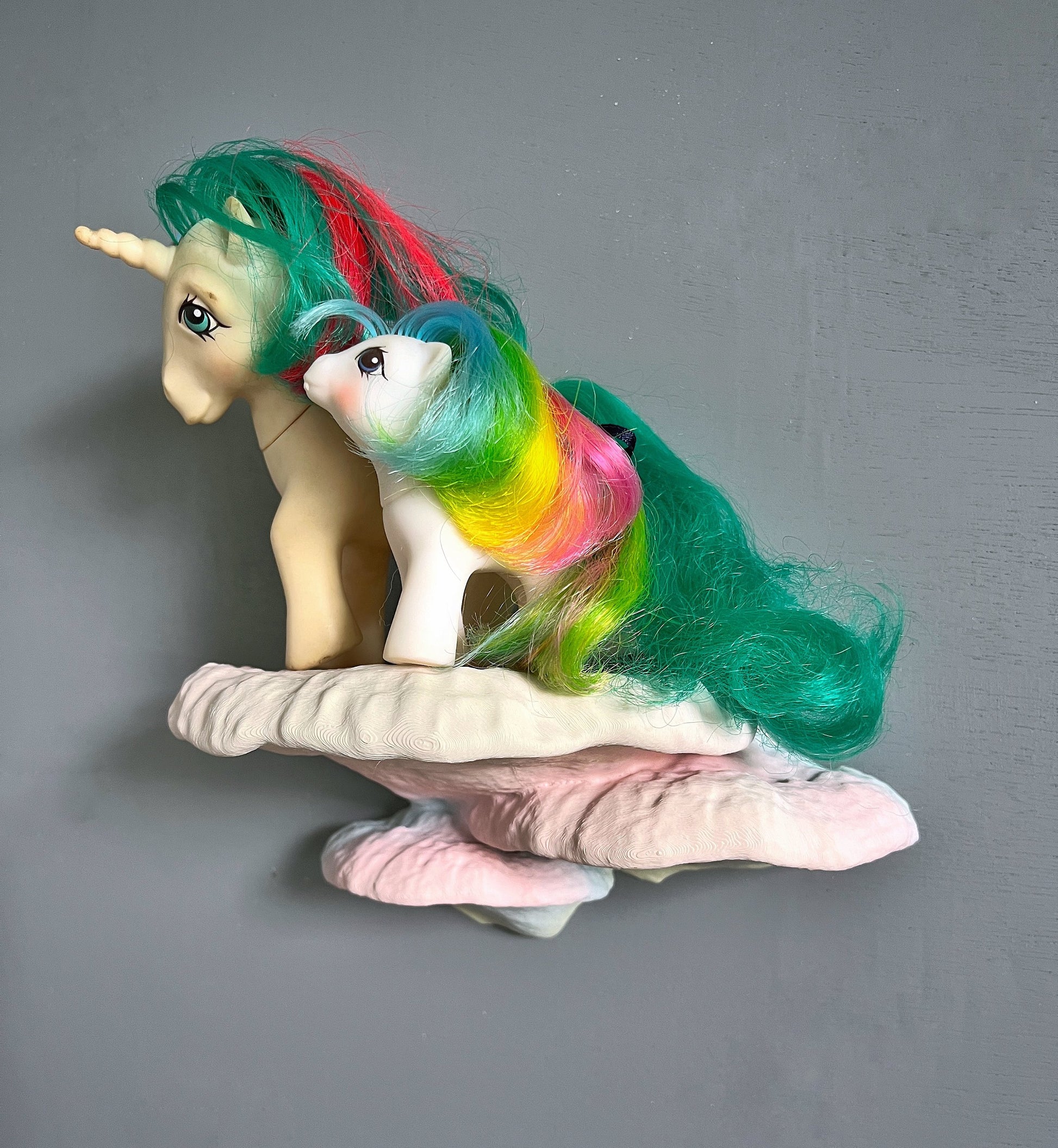 Grande étagère à champignons singuliers Pinicula