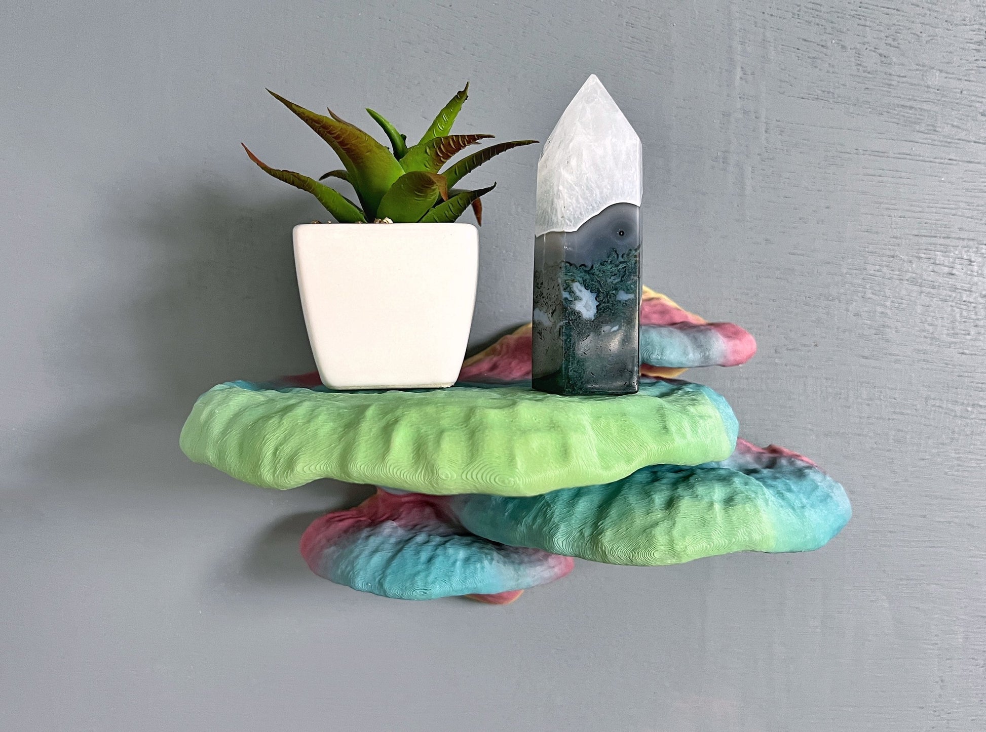 Grande étagère à champignons singuliers Pinicula