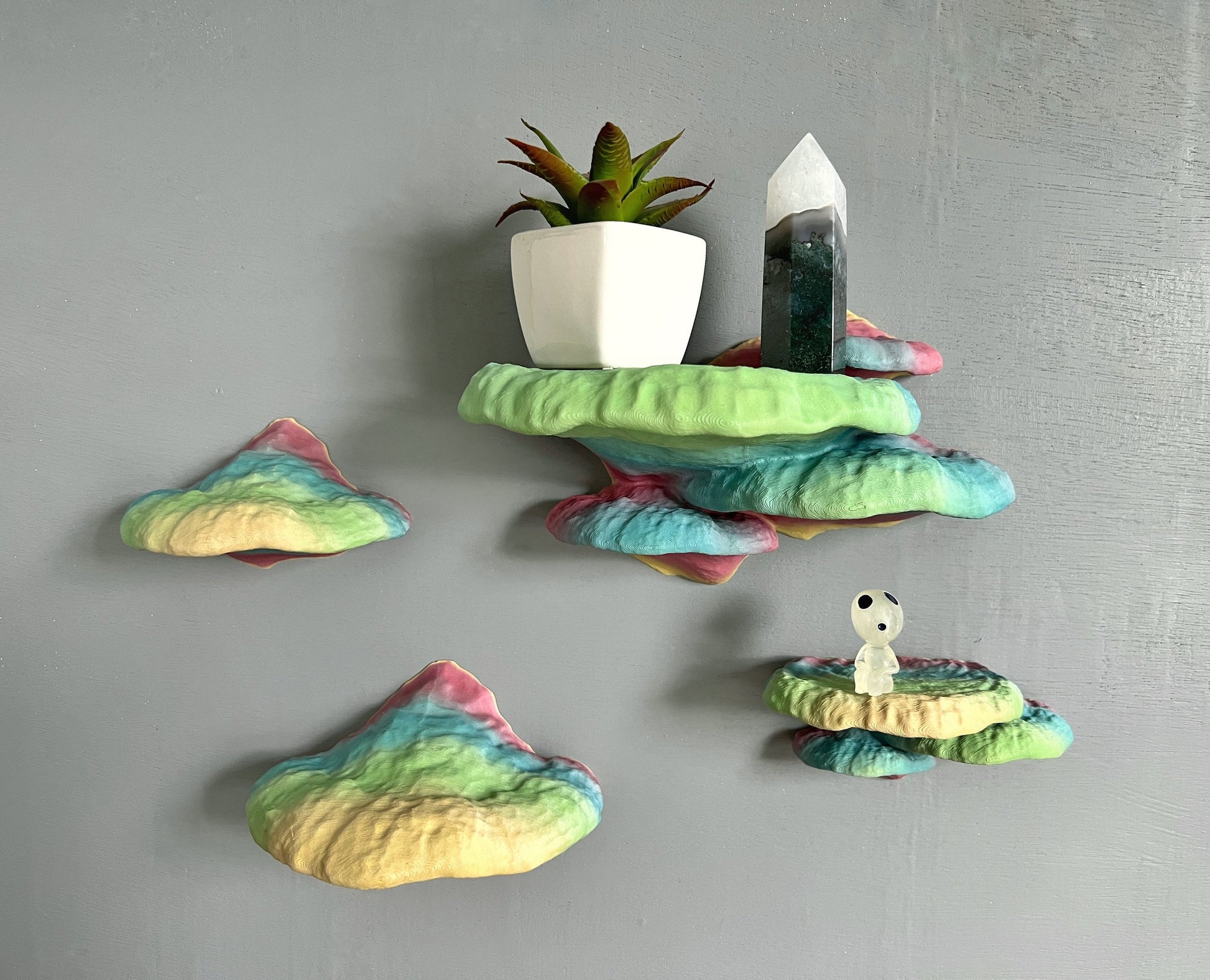 Ensemble complet d'étagères à champignons Pinicula, étagère à champignons, ensemble d'étagères à champignons