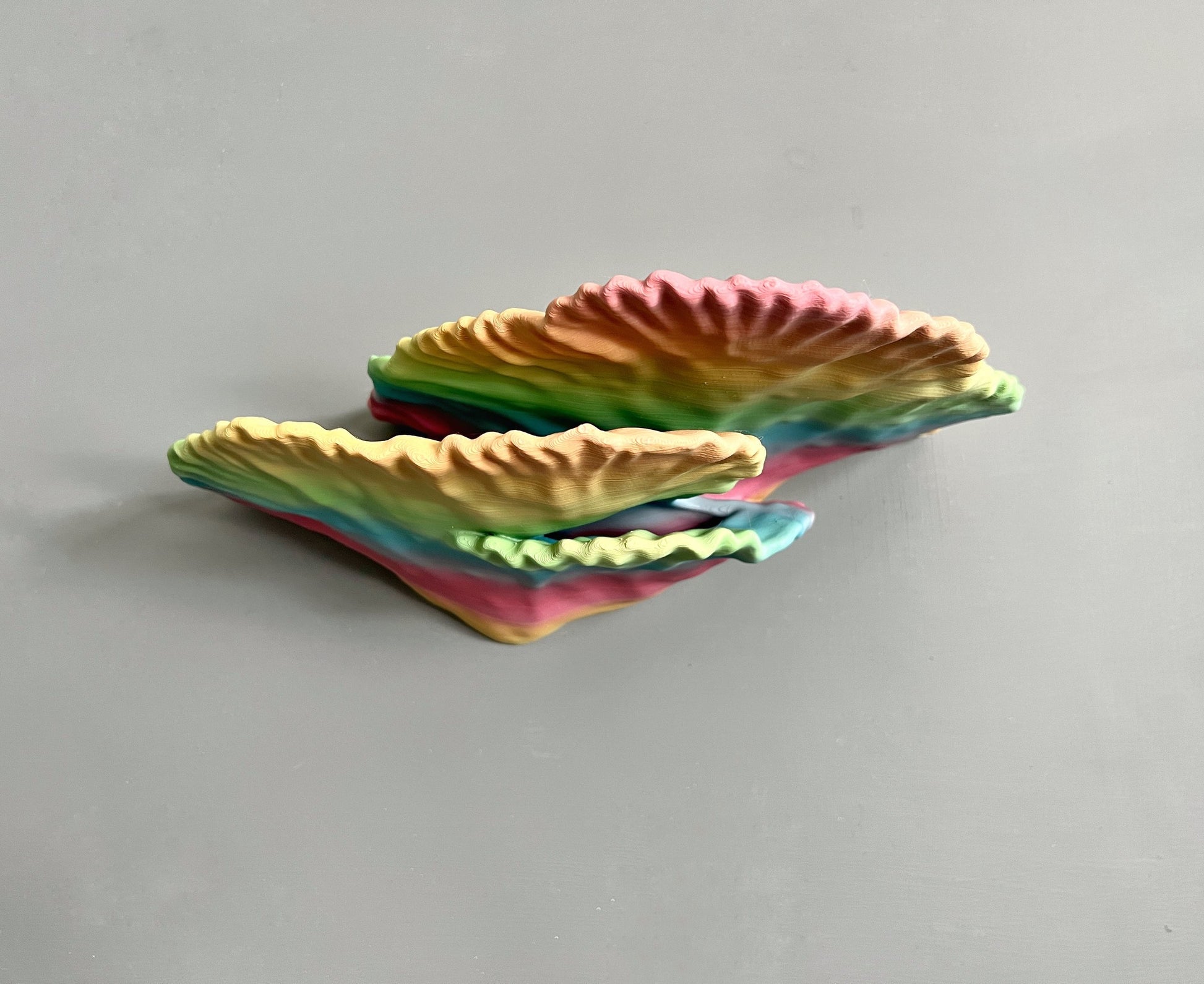 Étagère de corail flottante phosphorescente Montipora Capricornis (petite)