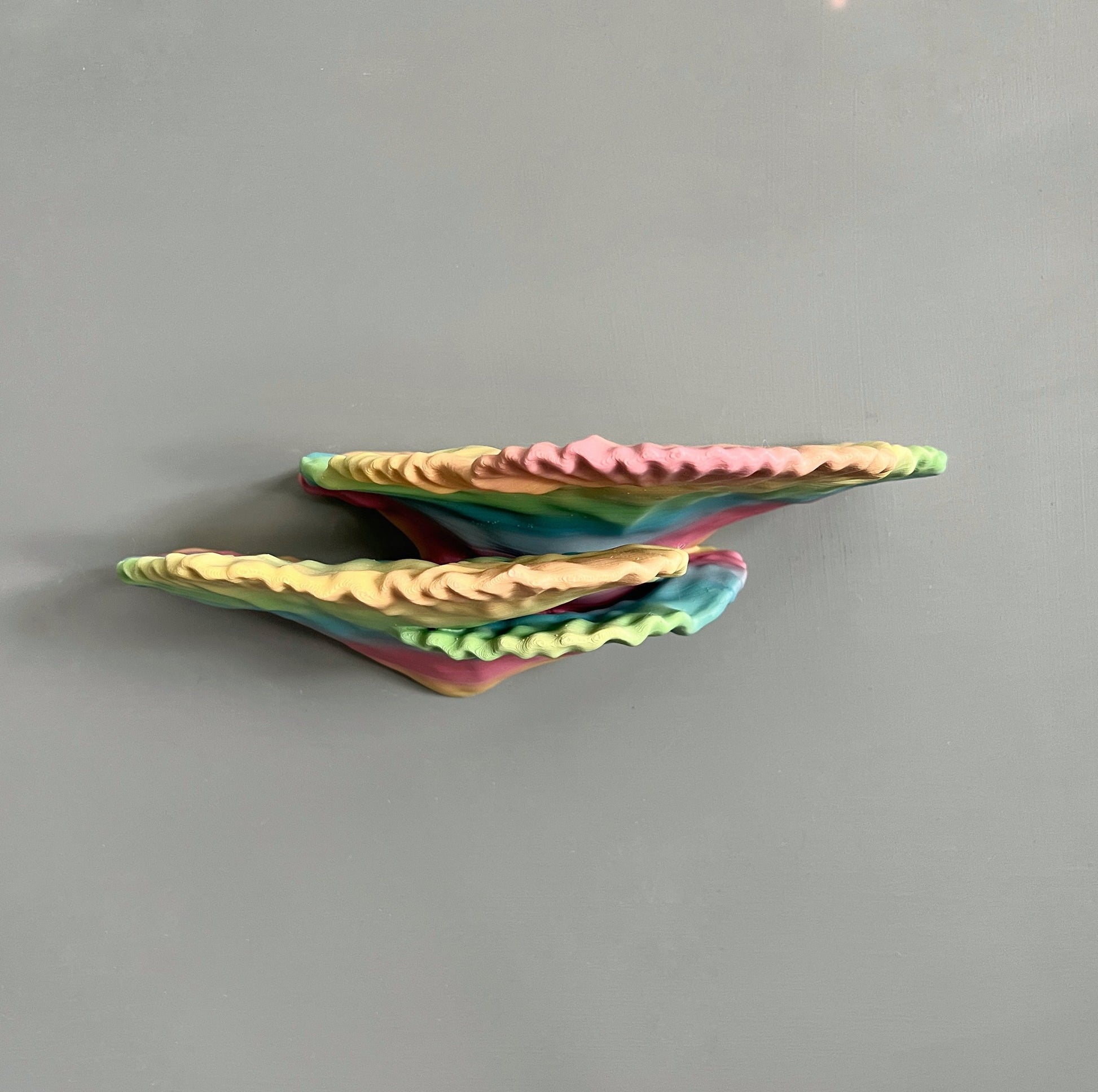 Étagère de corail flottante phosphorescente Montipora Capricornis (petite)