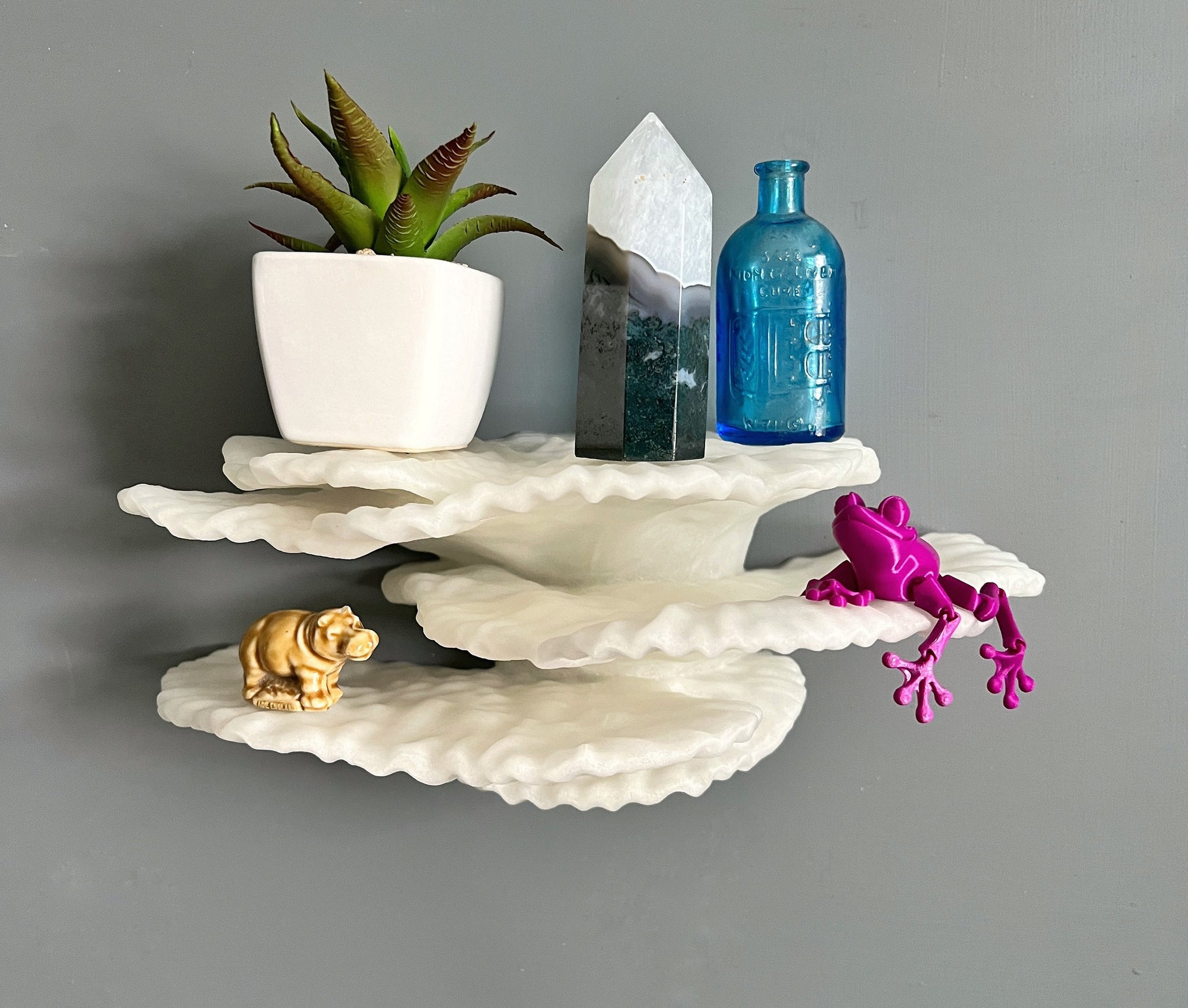 Étagère en corail flottante phosphorescente « Montipora Capricornis » de taille moyenne