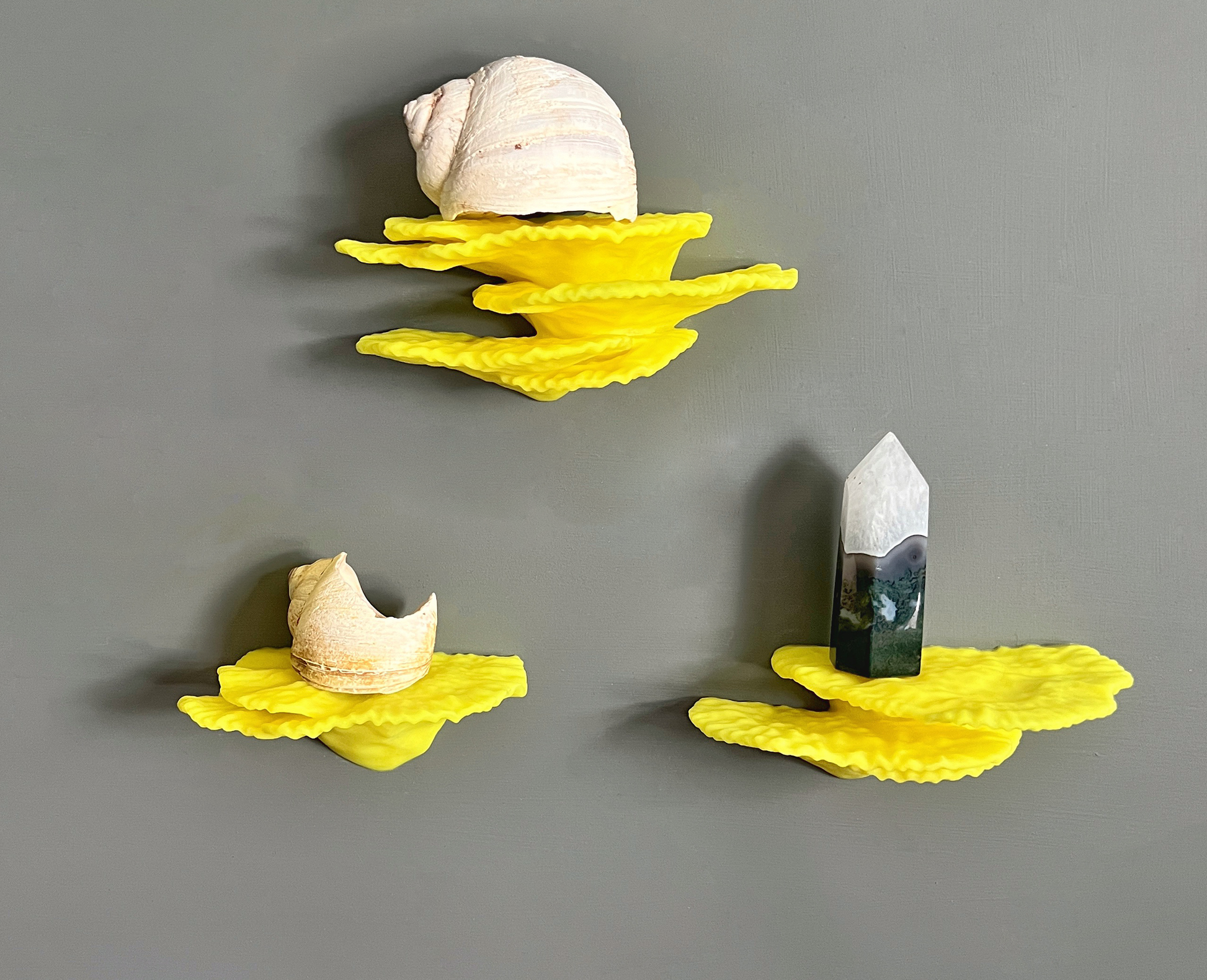 Étagère flottante phosphorescente en corail « Montipora Capricornis » (Mini lot de 3)