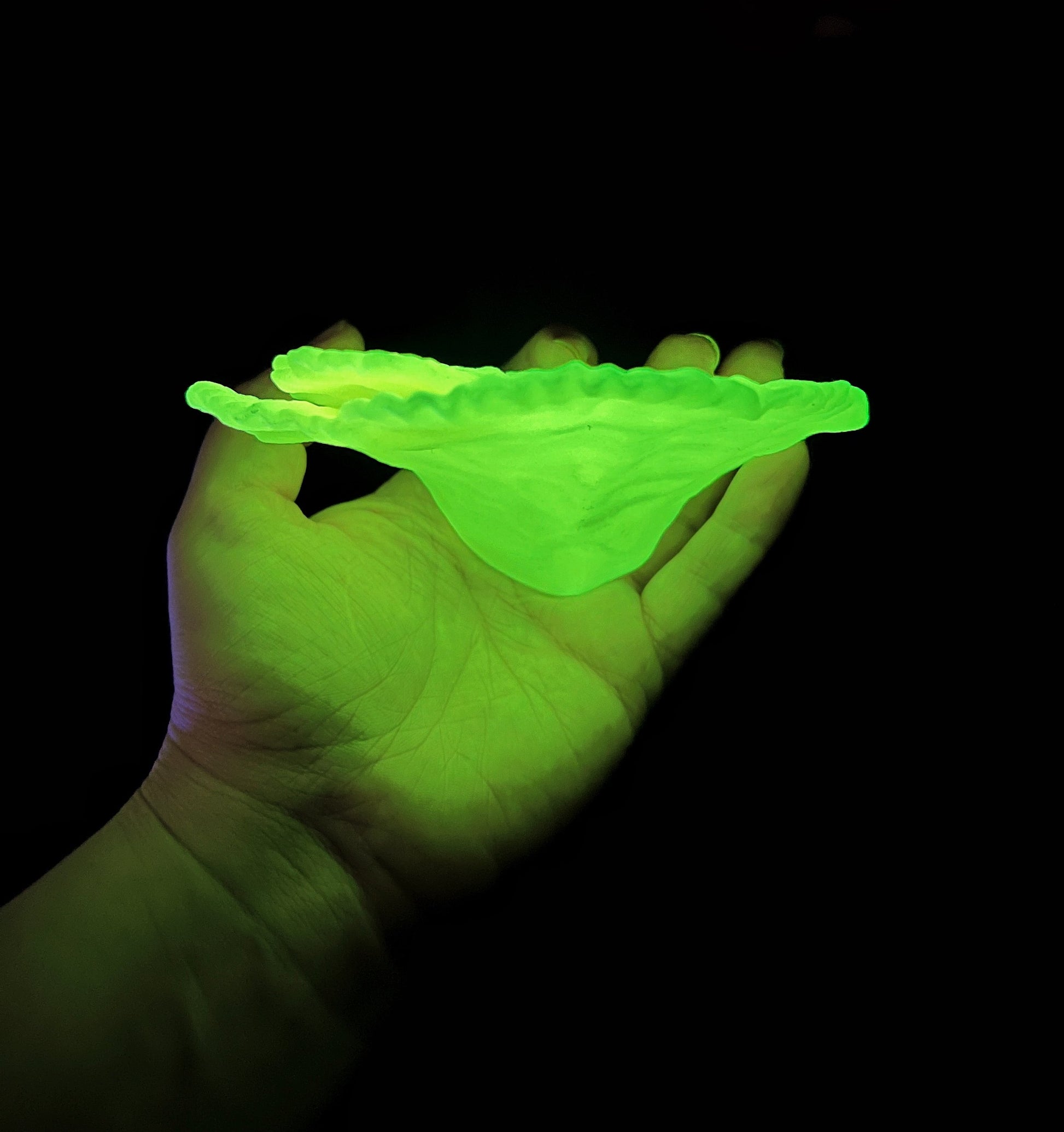 Étagère flottante phosphorescente en corail « Montipora Capricornis » (Mini lot de 3)