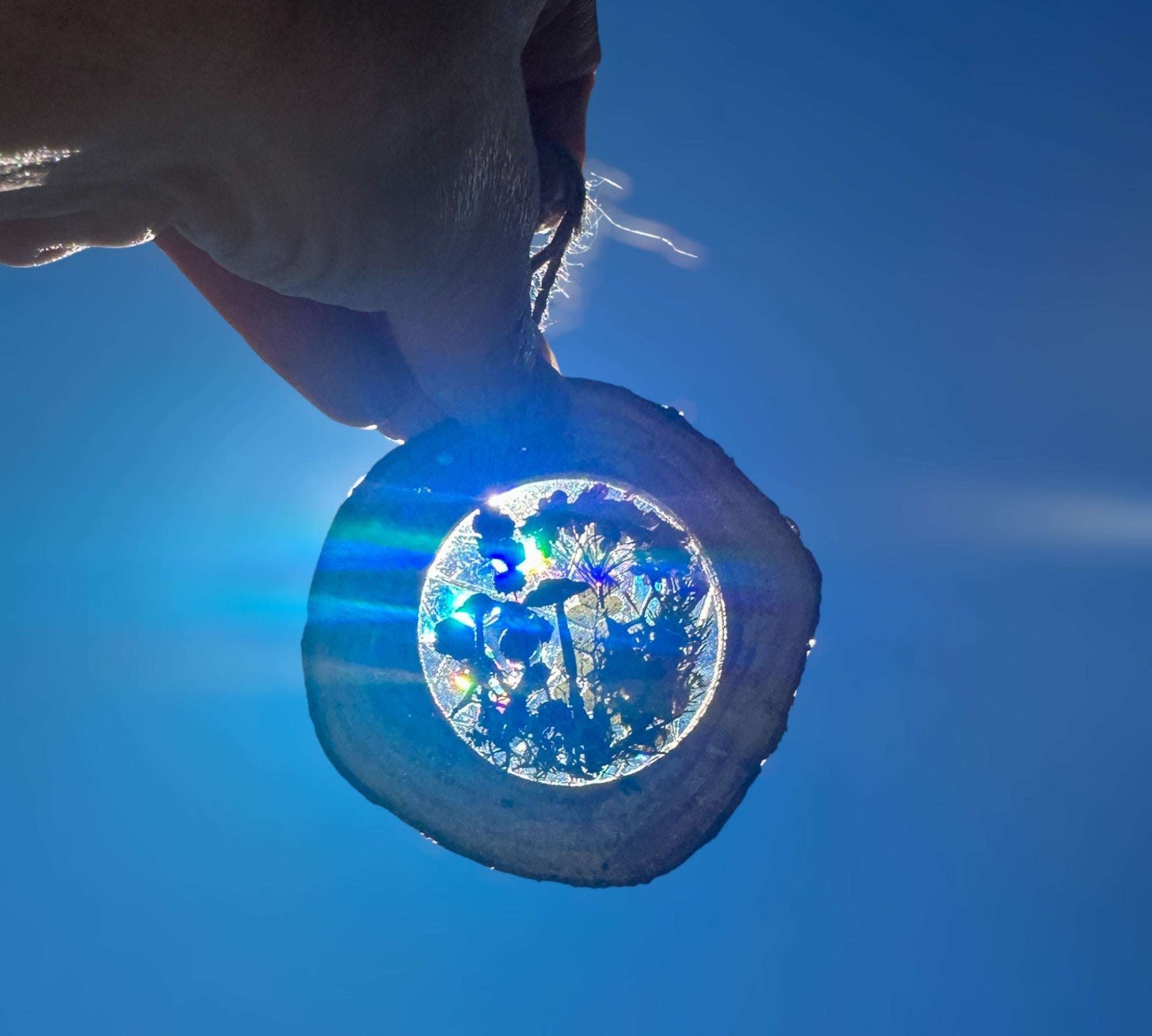 Attrape-soleil sérénade de colibris de la forêt enchantée avec de vraies fleurs