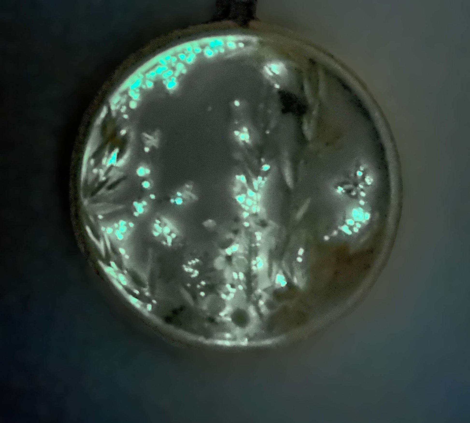 Attrape-soleil de jardin Pretty in Pink - Fait main avec de vraies fleurs séchées