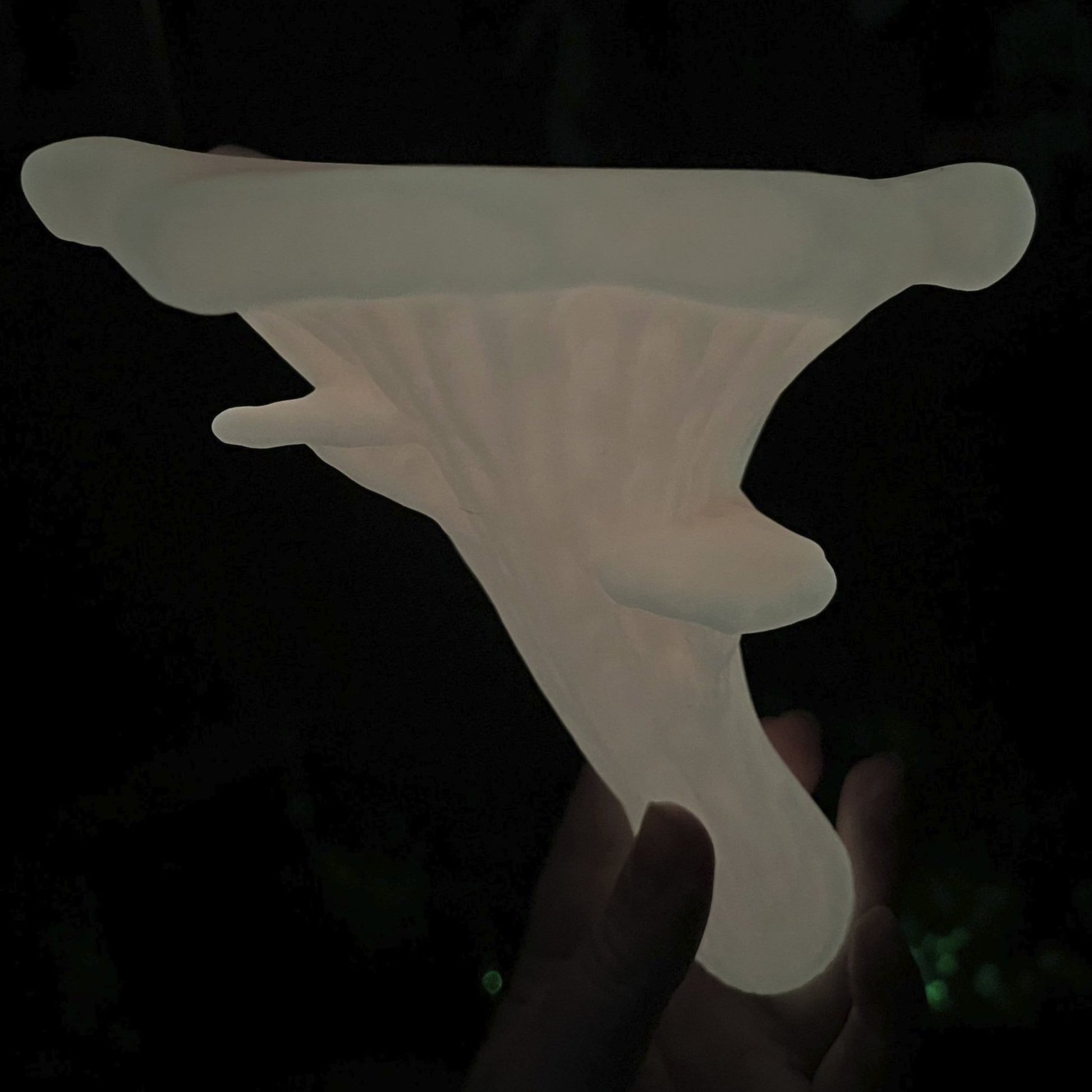 Étagère flottante phosphorescente en forme de pleurotes, décoration botanique pour la maison