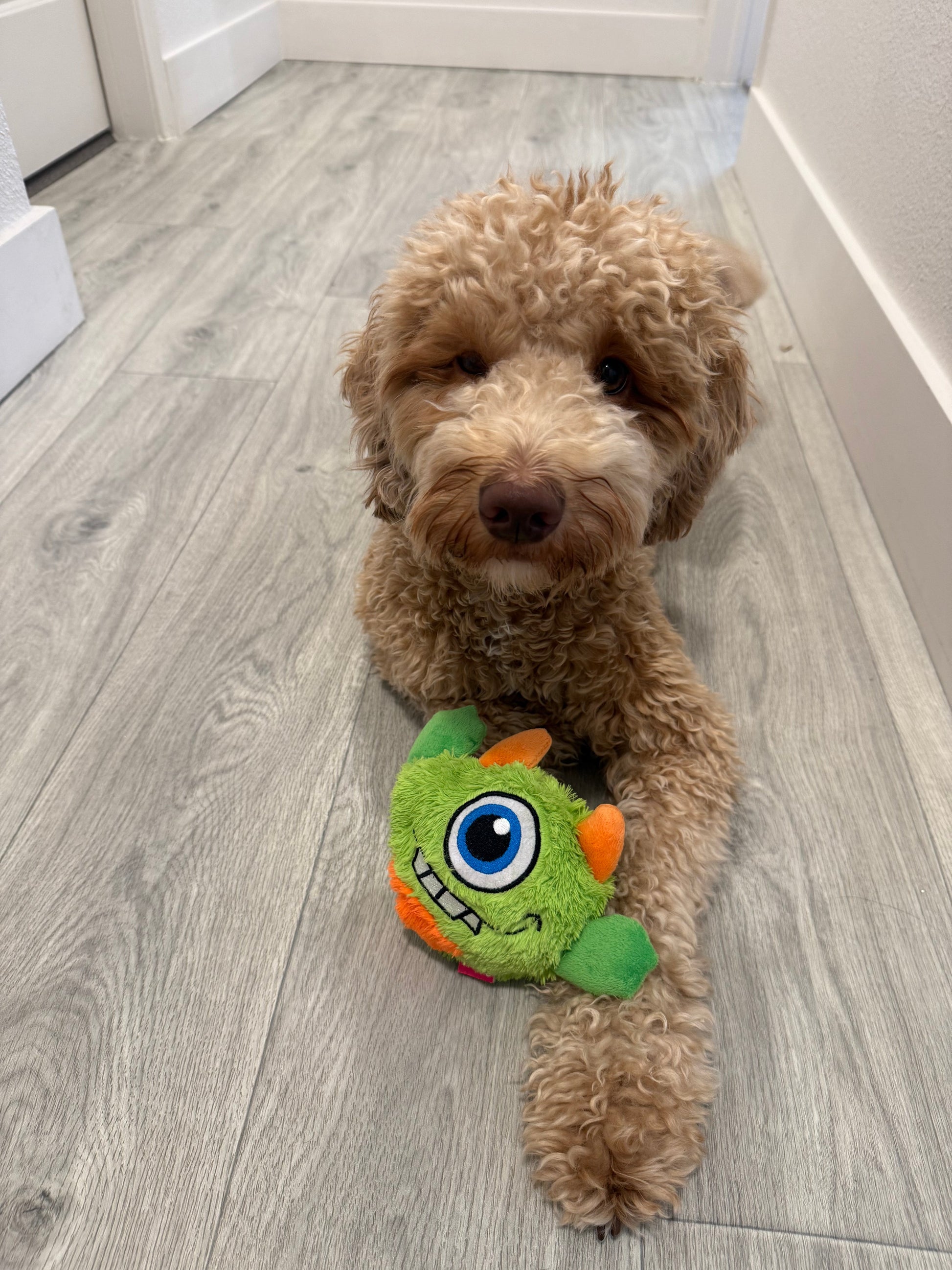 Jouet pour chien monstre avec balle distributrice de friandises - Peluche et puzzle interactif