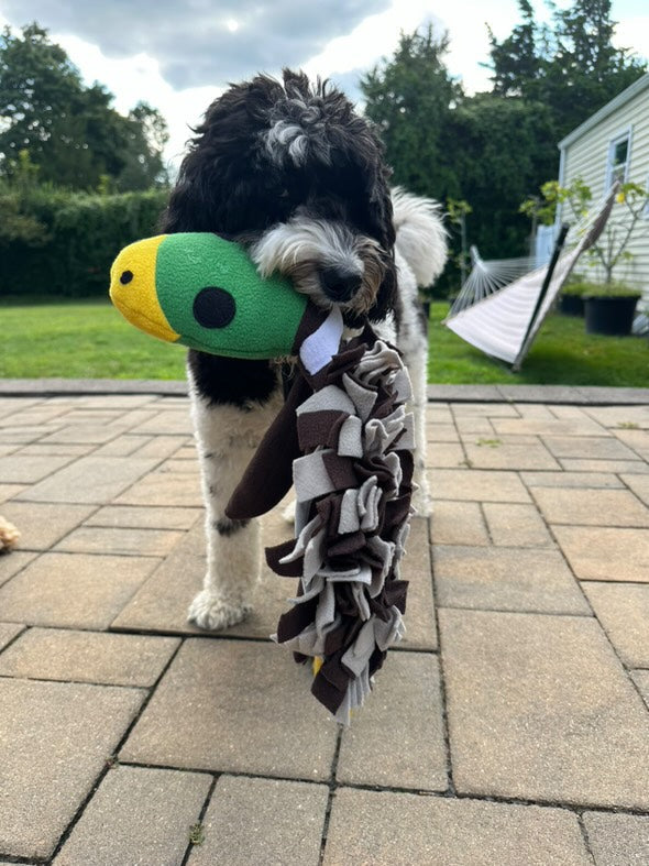 Tapis à renifler pour chiens Squeaky Duck – Jouet 2 en 1 et divertissement de recherche de nourriture