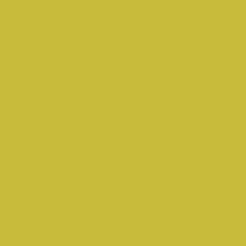 AGF Pure Solids - Olive Oil, 1/4 yard