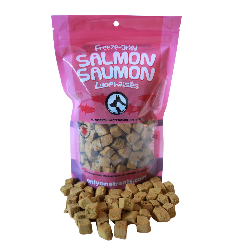 Saumon lyophilisé 85g