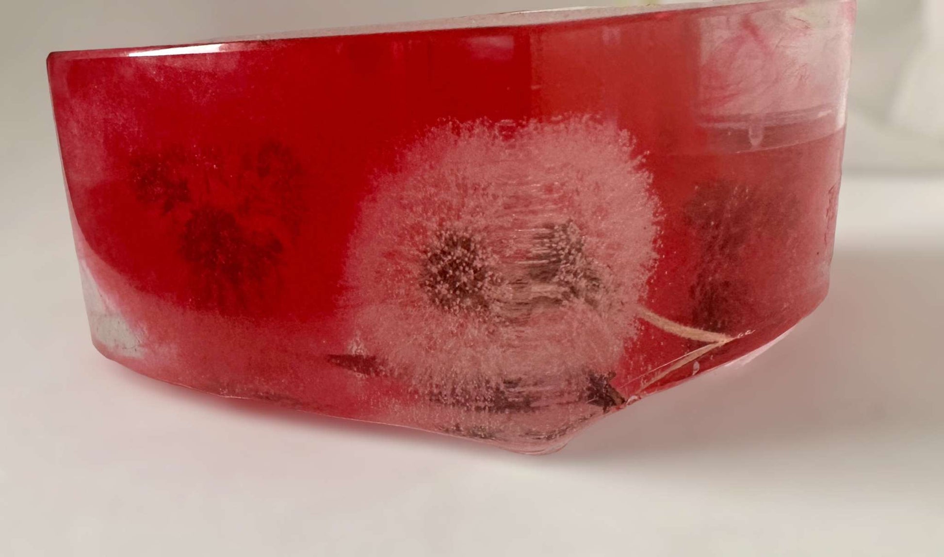 Photophore Fairy Wishes