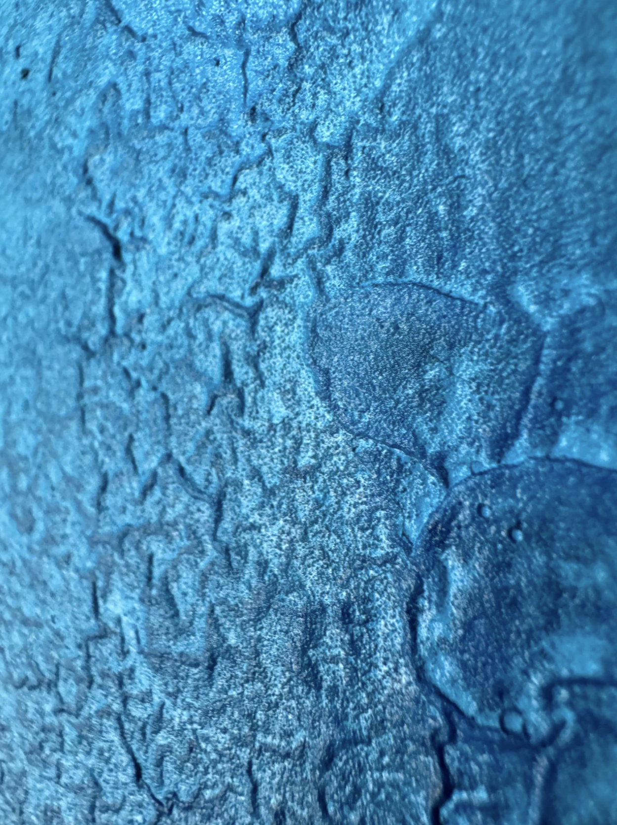 Sur une île au soleil