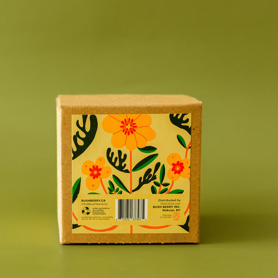 Savourez l'été | 12 thés en portions individuelles