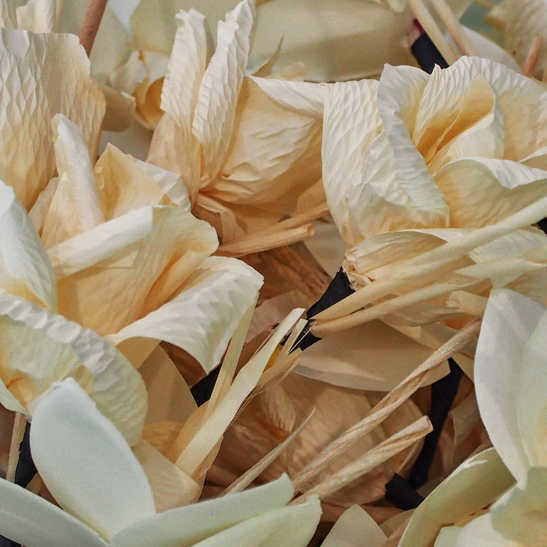 Huile parfumée à la vanille et au bois de santal