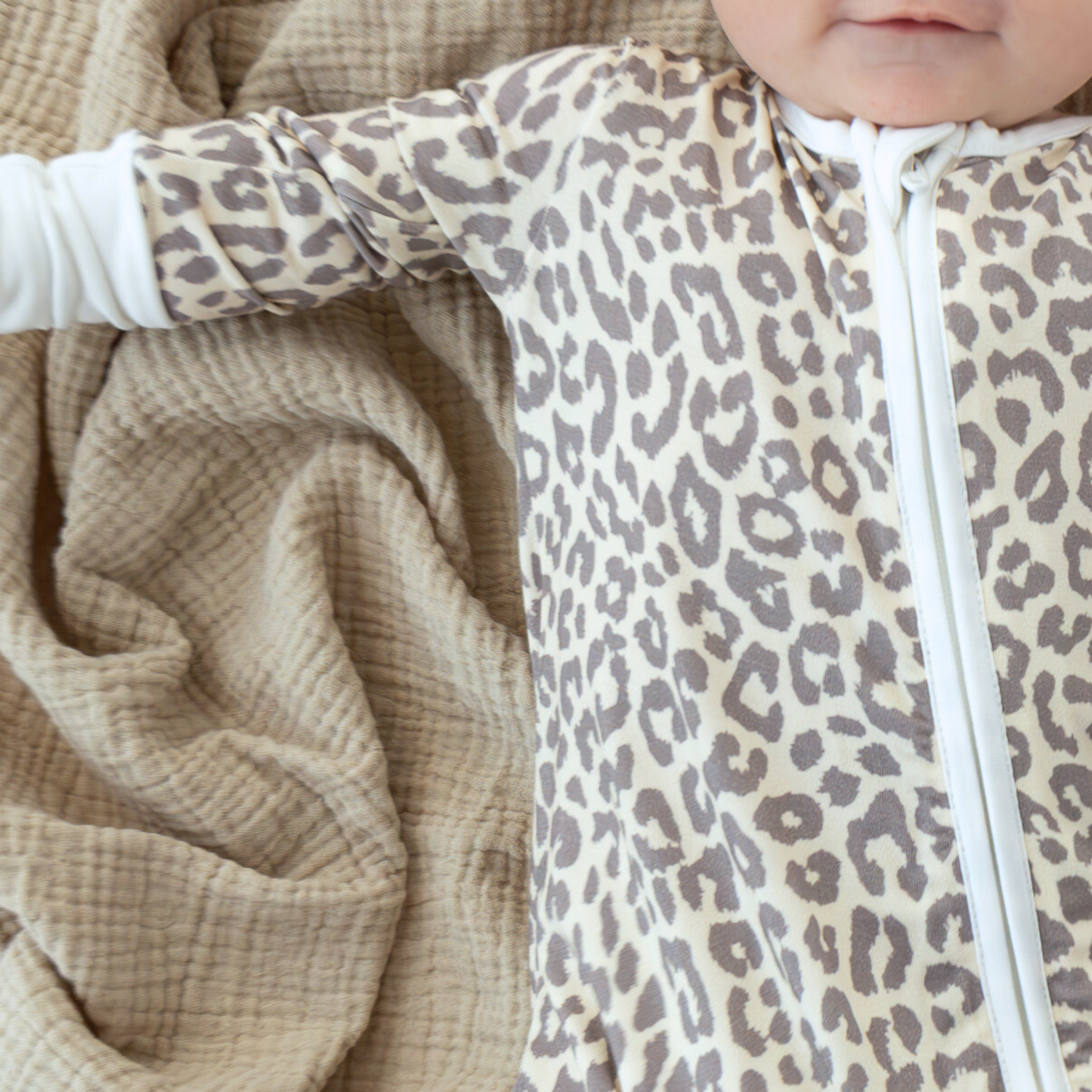 Apricot Leopard