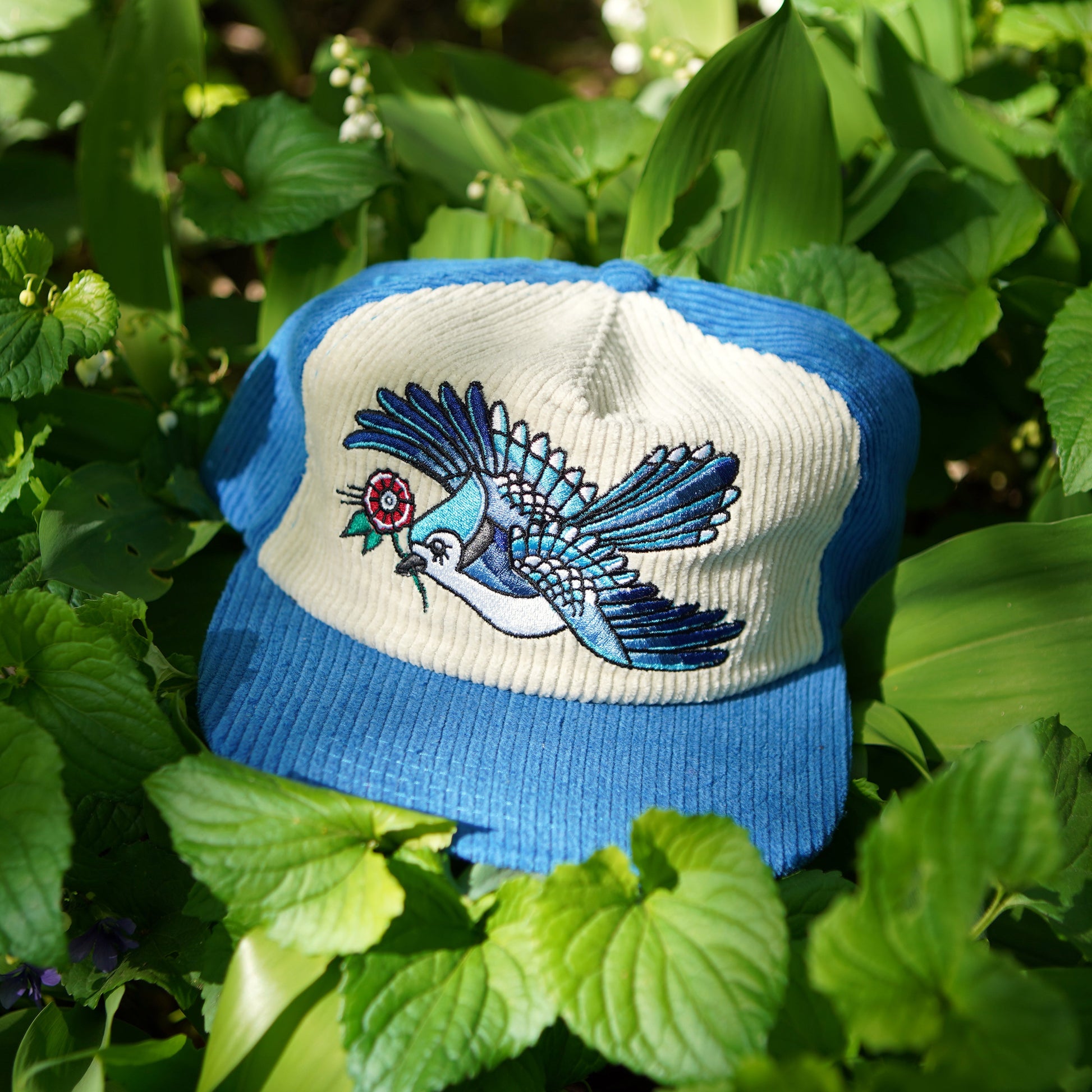 Chapeau en velours côtelé bicolore Blue Jay