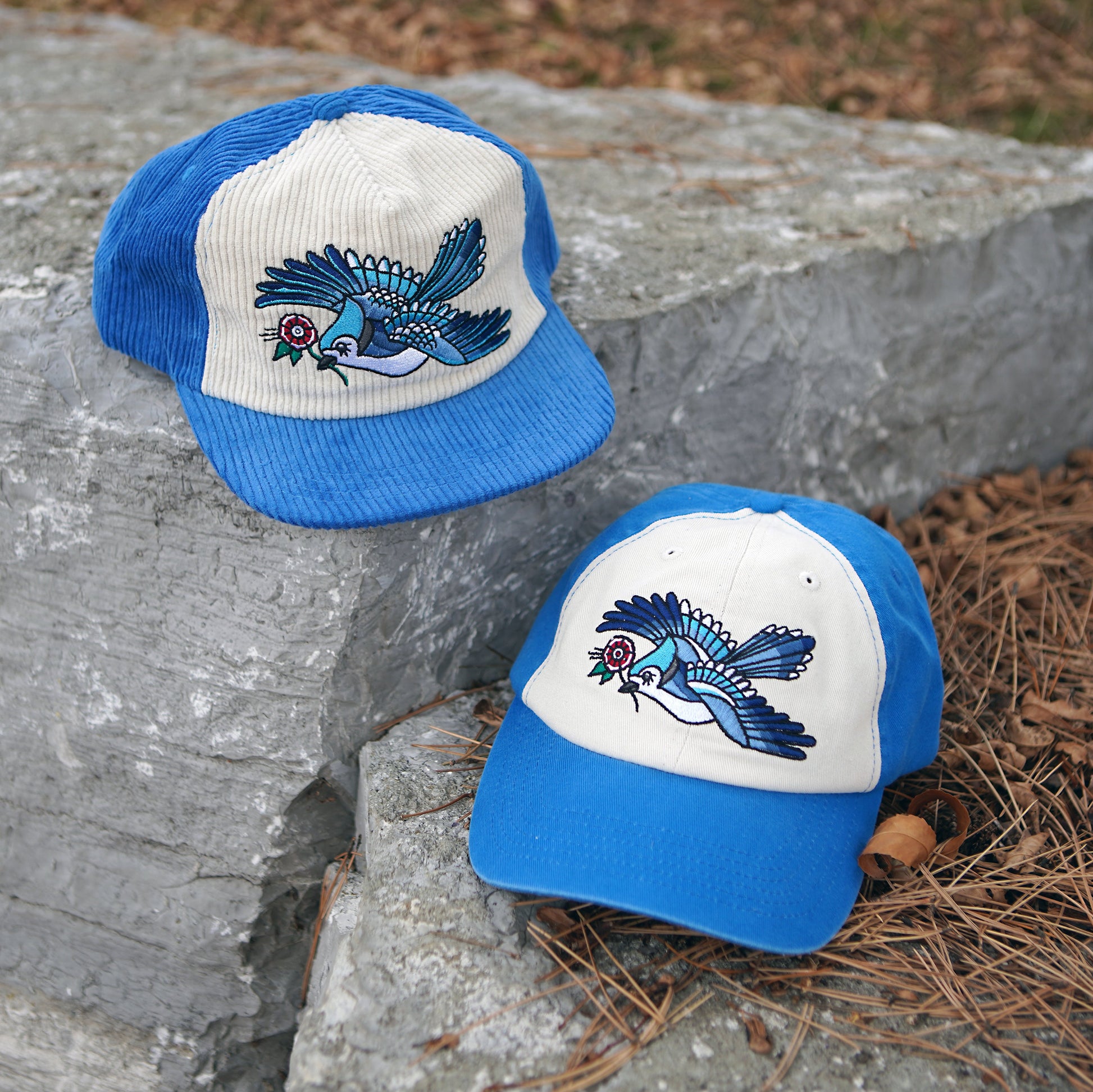 Chapeau en velours côtelé bicolore Blue Jay