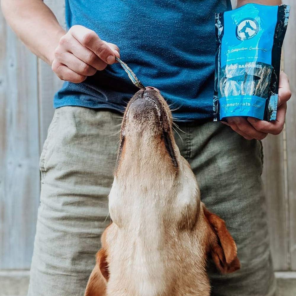 Sardines séchées 40g