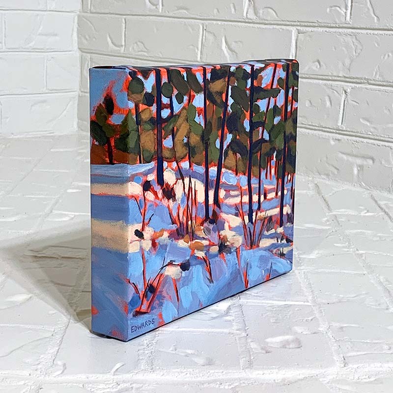 Lumière sur la neige