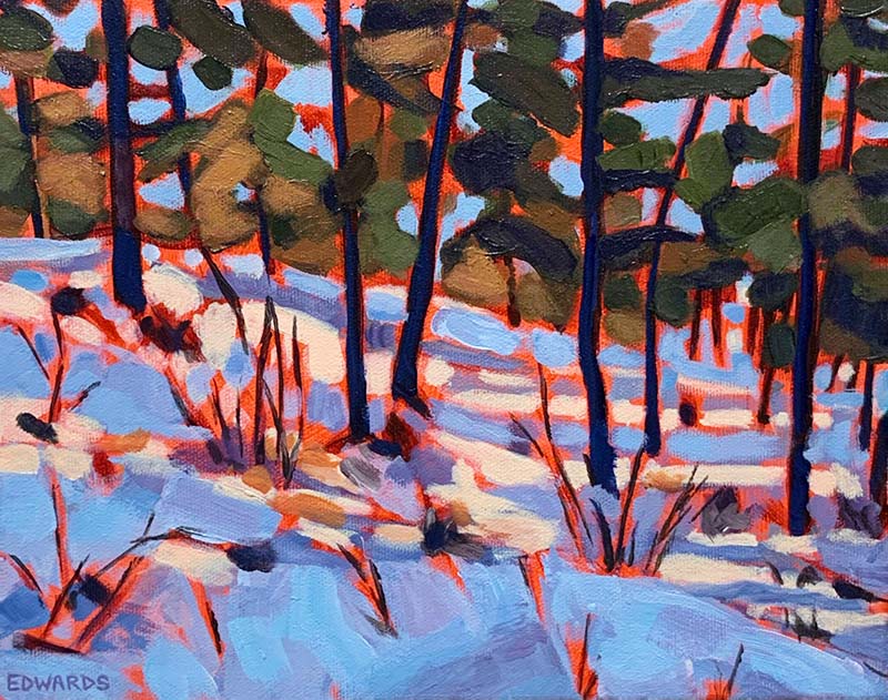 Lumière sur la neige