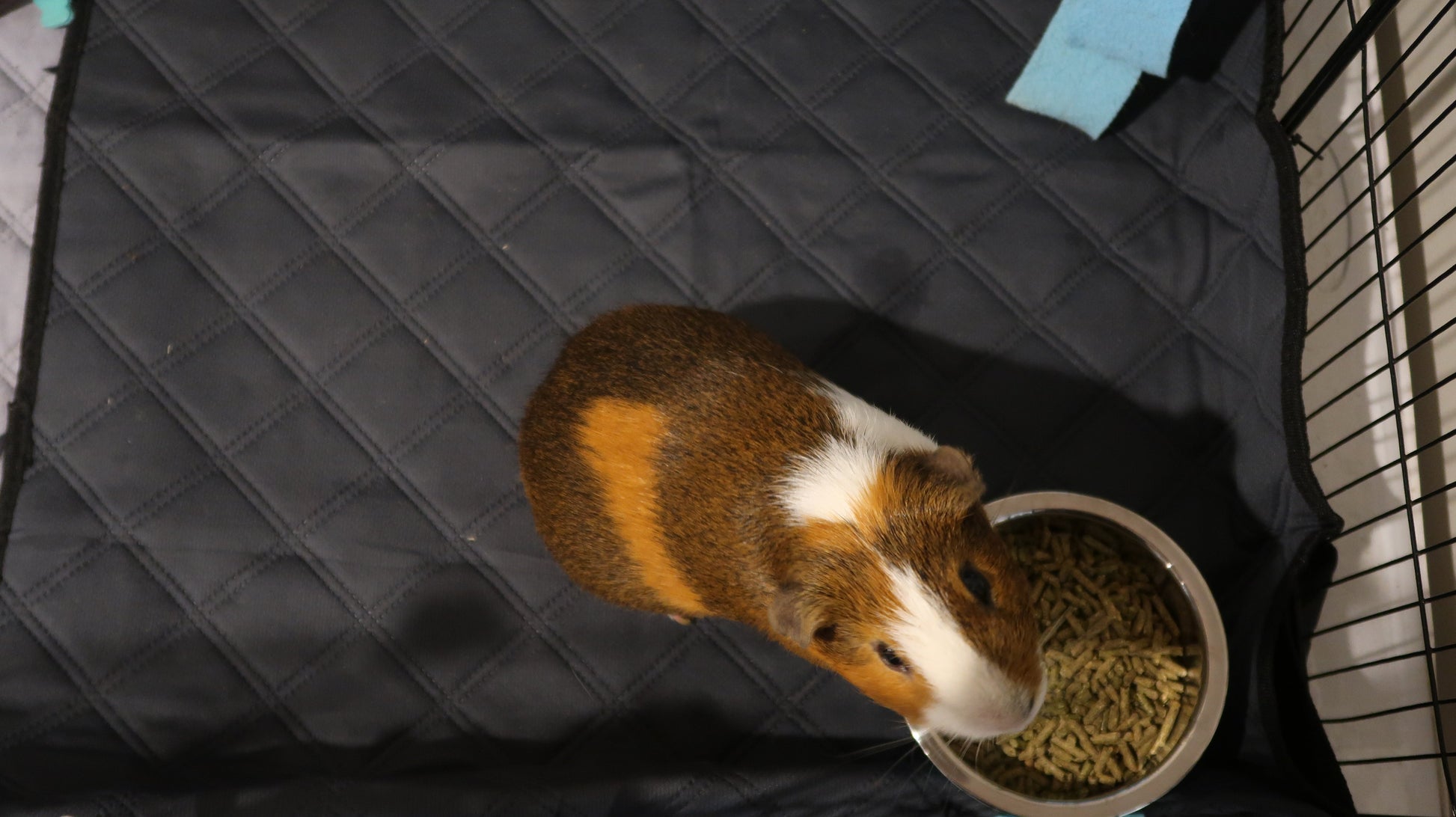 Revêtements de cage LuftPets Original pour lapins et cochons d'Inde, pour cages MidWest