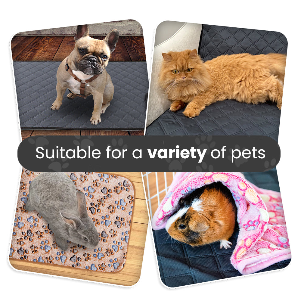 Parure de lit polaire 5 pièces pour cochon d'Inde et lapin – Parfaite pour chiens et chats