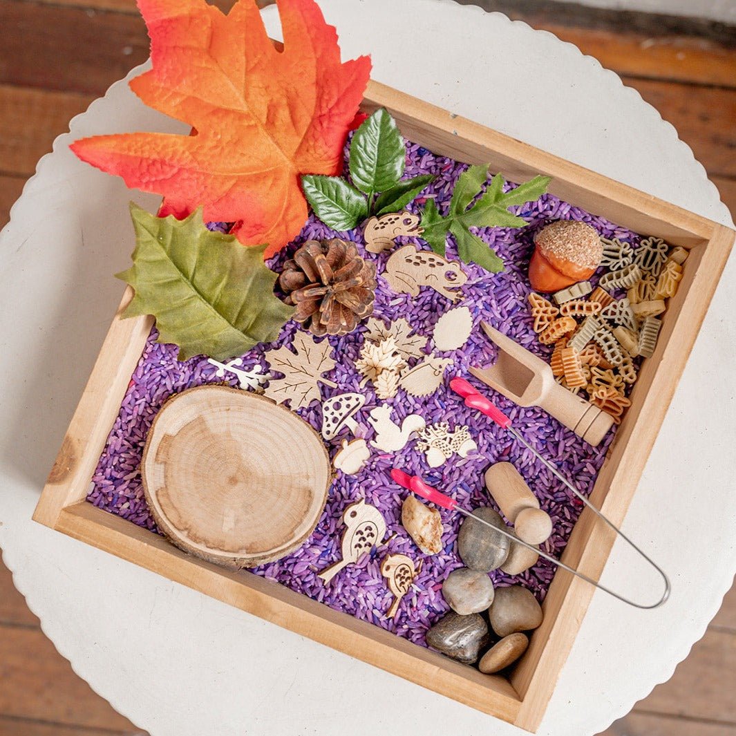 Kit sensoriel Nature Child