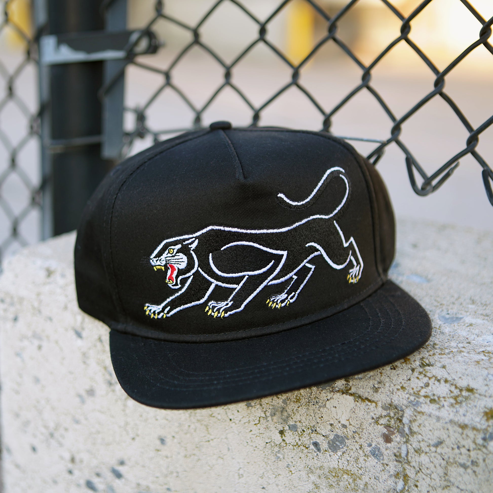 Ensemble chapeau Big Cat