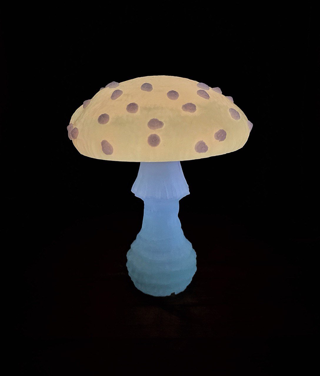 Veilleuse champignon phosphorescente, lampe de chevet champignon amanite phosphorescente, lampe fantaisie funky, lampe à charge solaire