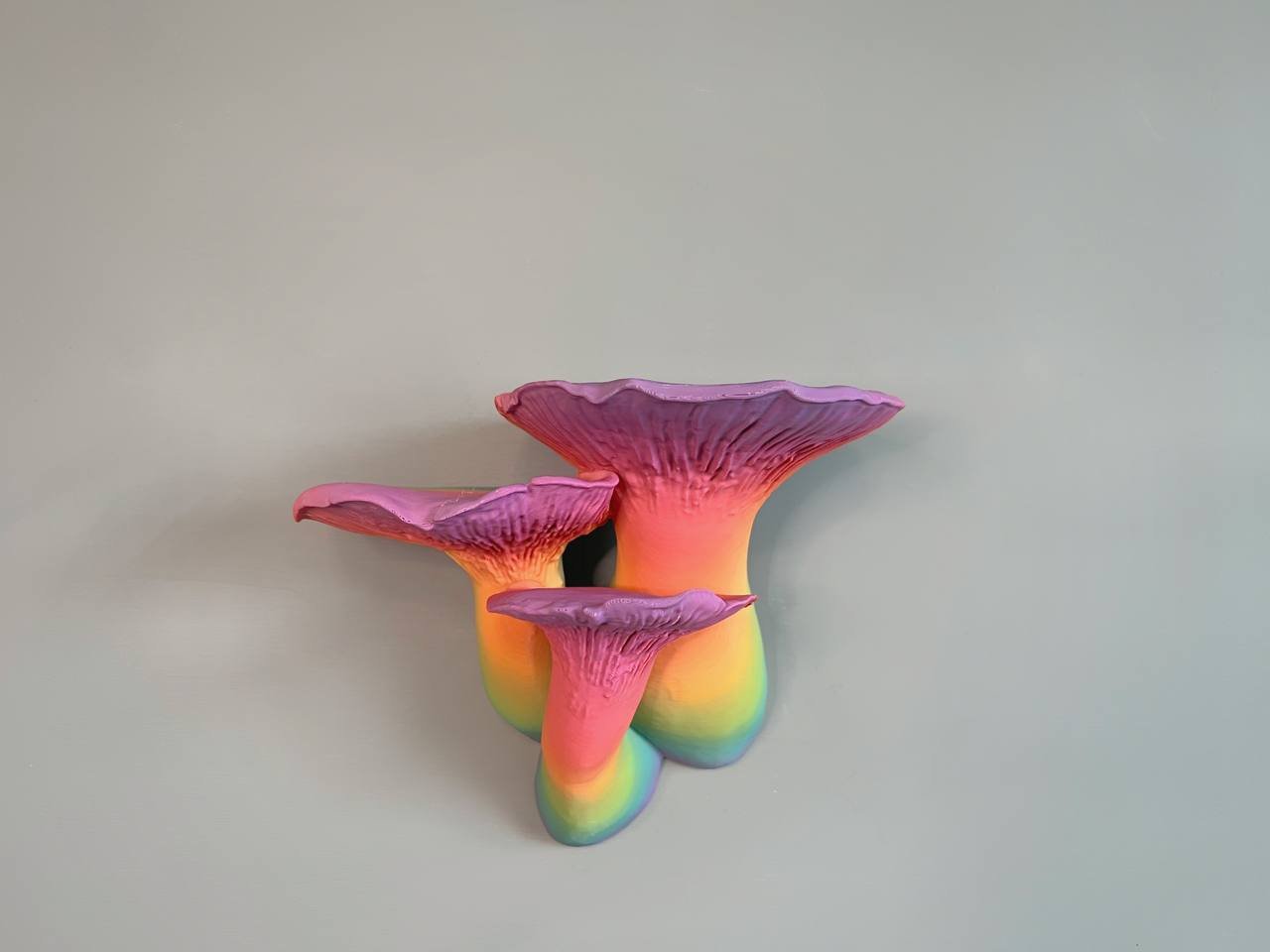 Étagère flottante pour champignons King Oyster de taille moyenne, étagère suspendue pour plantes et bibelots Cottagecore