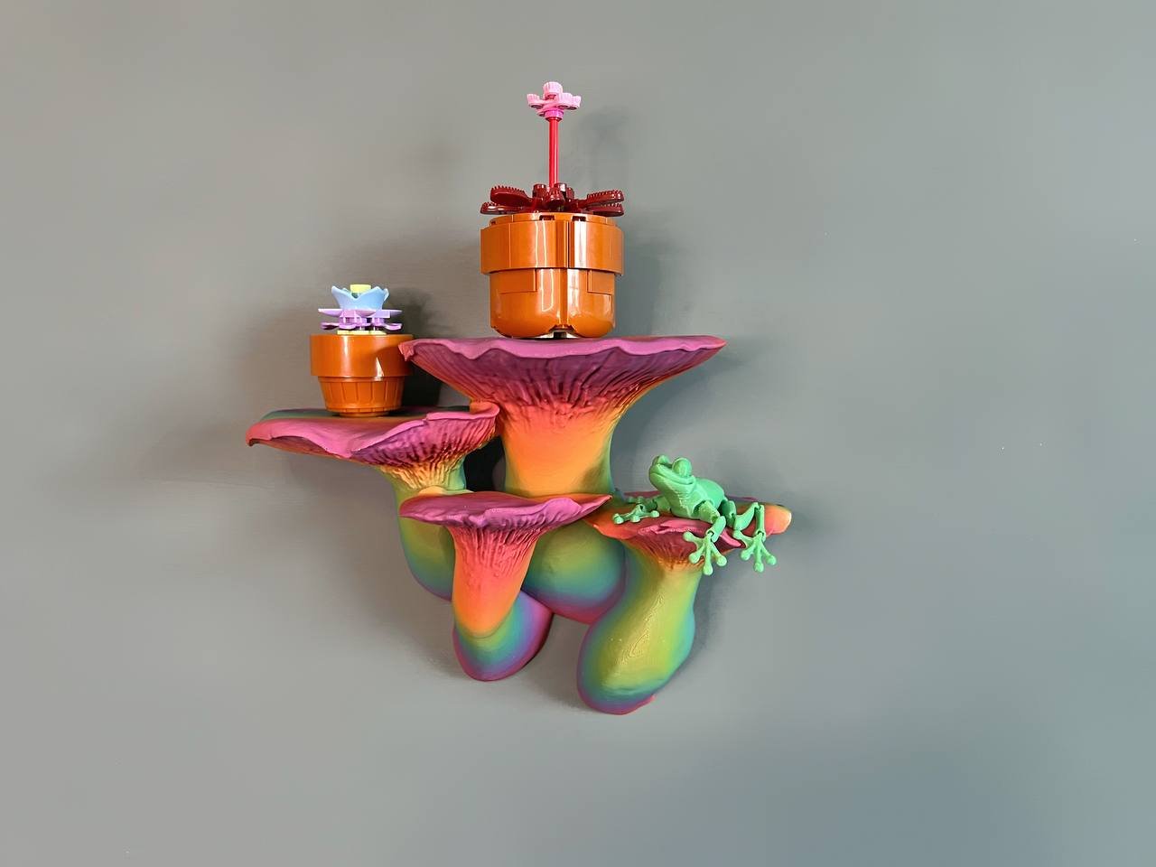 Grande étagère flottante pour champignons King Oyster, étagère suspendue pour plantes et bibelots cottagecore